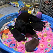 Thumbnail photo of Ahola / Sunny #1