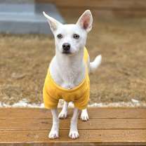 Thumbnail photo of Dongdong #3