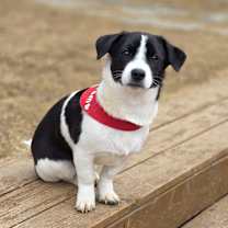 Thumbnail photo of Moram #1