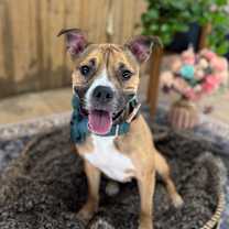 Thumbnail photo of Matilda #1