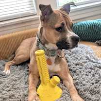 Thumbnail photo of Matilda #2