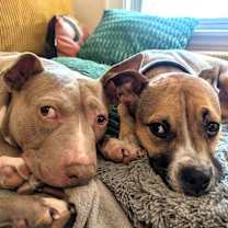 Thumbnail photo of Matilda #3