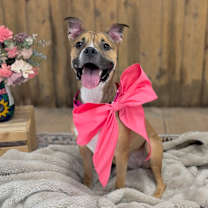 Thumbnail photo of Matilda #4