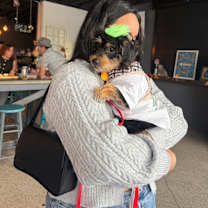 Thumbnail photo of Tiramisu #1