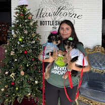 Thumbnail photo of Tiramisu #3