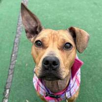 Thumbnail photo of Grace #1