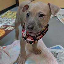 Thumbnail photo of Michael #1