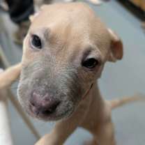 Thumbnail photo of Michael #2