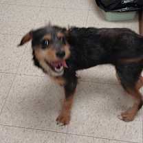 Thumbnail photo of Nia #1