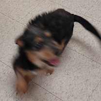 Thumbnail photo of Nia #2