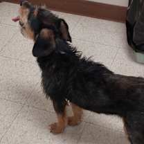 Thumbnail photo of Nia #3