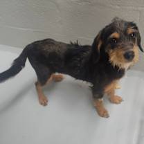 Thumbnail photo of Nia #4