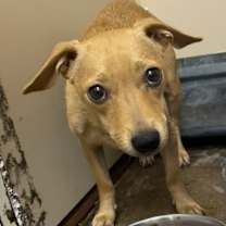 Thumbnail photo of Baby Red #2