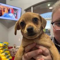 Thumbnail photo of Chip #1