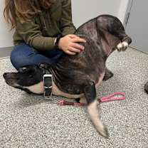 Thumbnail photo of Ms. Peanut Butter #2