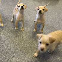 Thumbnail photo of Janice #2