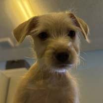 Thumbnail photo of Janice #3