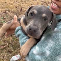 Thumbnail photo of Bean #2