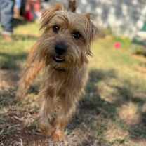 Thumbnail photo of Stewart #1