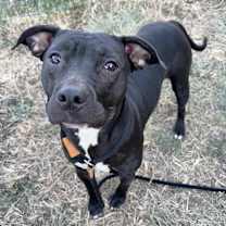 Thumbnail photo of Winny #3