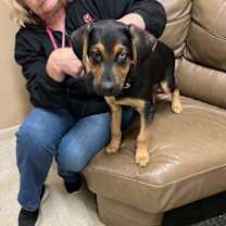 Thumbnail photo of Allen #4