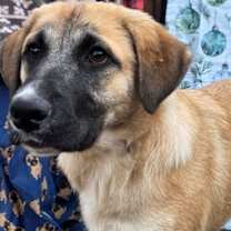 Thumbnail photo of Carmen #1