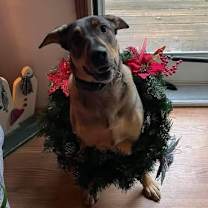 Thumbnail photo of Maggie #1