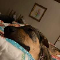 Thumbnail photo of Maggie #2