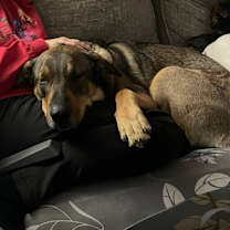 Thumbnail photo of Maggie #3