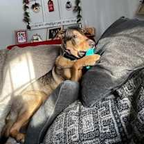 Thumbnail photo of Maggie #4