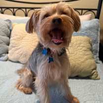 Thumbnail photo of Zeus Thunderbolt #3