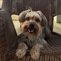 Thumbnail photo of Zeus Thunderbolt #4