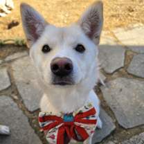 Thumbnail photo of WENDY #1