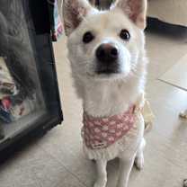 Thumbnail photo of WENDY #2