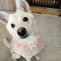 Thumbnail photo of WENDY #4