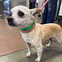 Thumbnail photo of Kita #2