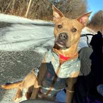 Thumbnail photo of Rip #3