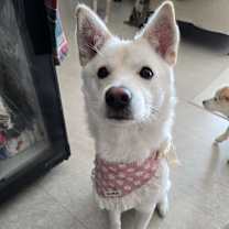 Thumbnail photo of WENDY #1