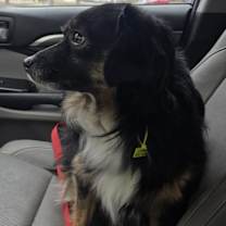 Thumbnail photo of River #4