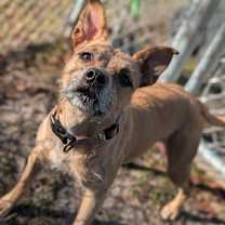 Thumbnail photo of Marly 28274 #1