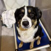 Thumbnail photo of Leila  #2