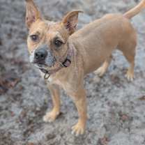 Thumbnail photo of Marly 28274 #3