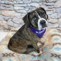 Thumbnail photo of Harry #4