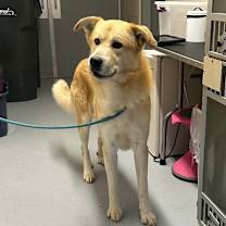 Thumbnail photo of Rudy #3