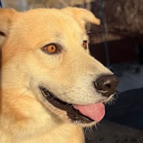 Thumbnail photo of Rudy #4