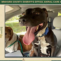 Thumbnail photo of Oakley #1