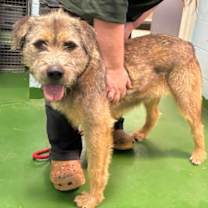 Thumbnail photo of Natalie - At shelter #2