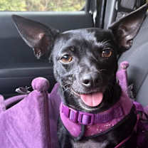 Thumbnail photo of Monica #2