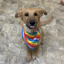 Thumbnail photo of Destiny #2