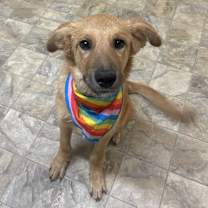 Thumbnail photo of Destiny #3